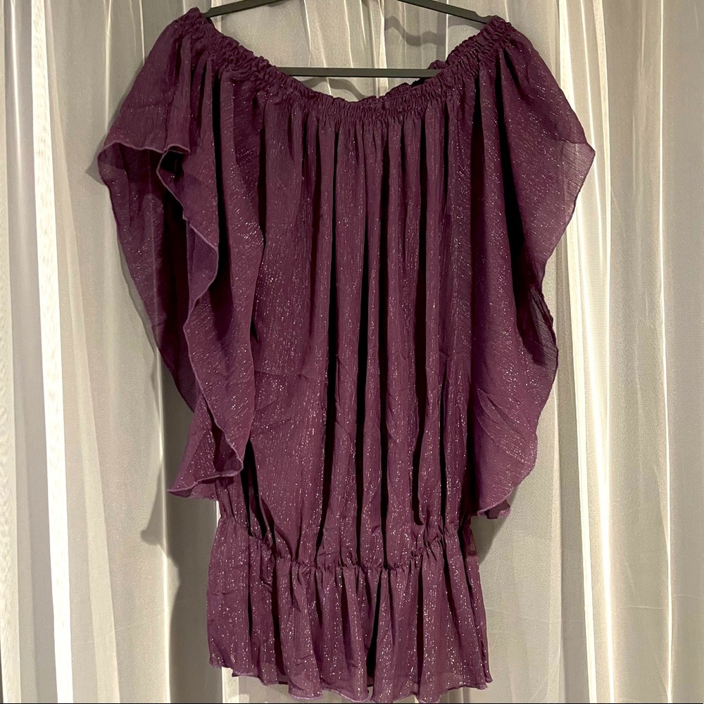 ZARA - Flowy sparkly chiffon top with flutter sleeves.